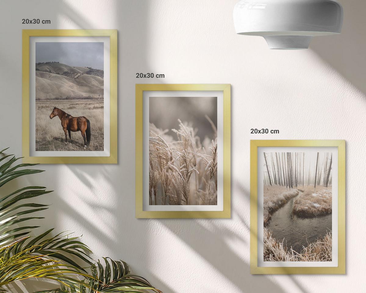 BILDER SET 3er Set - 20x30 cm Goldrahmen - Pferde, Landschaft, Gras, Bach - Goldfarben, Kunststoff (20/30cm) - TULUP