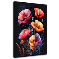 BILD auf Leinwand, Rote Mohnblumen auf schwarzem Hintergrund - Multicolor, Textil (80/120cm) - Feeby