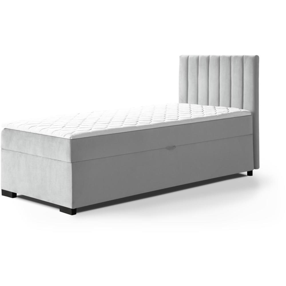 POLSTERBETT Eric 104/207/105 grau - Grau, Holzwerkstoff/Textil (100/200cm) - Beautysofa