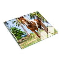 GLASPLATTE 60x52 cm Pinto-Pferd - Hellgrün, Glas (60/52cm) - TULUP