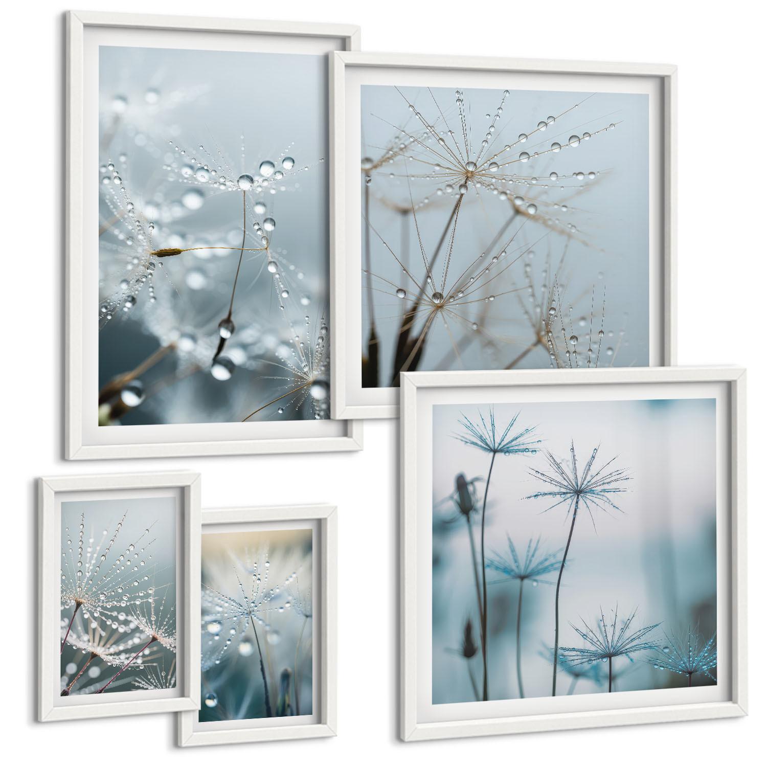 BILDER SET 5er Set - 50x50 cm & 20x30 cm & 40x60 cm Weißer Rahmen - Wassertropfen auf Löwenzahnsprossen - Weiß, Kunststoff (40/60cm) - TULUP