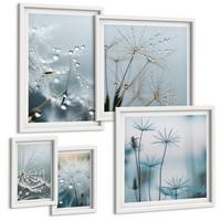 BILDER SET 5er Set - 50x50 cm & 20x30 cm & 40x60 cm Weißer Rahmen - Wassertropfen auf Löwenzahnsprossen - Weiß, Kunststoff (40/60cm) - TULUP