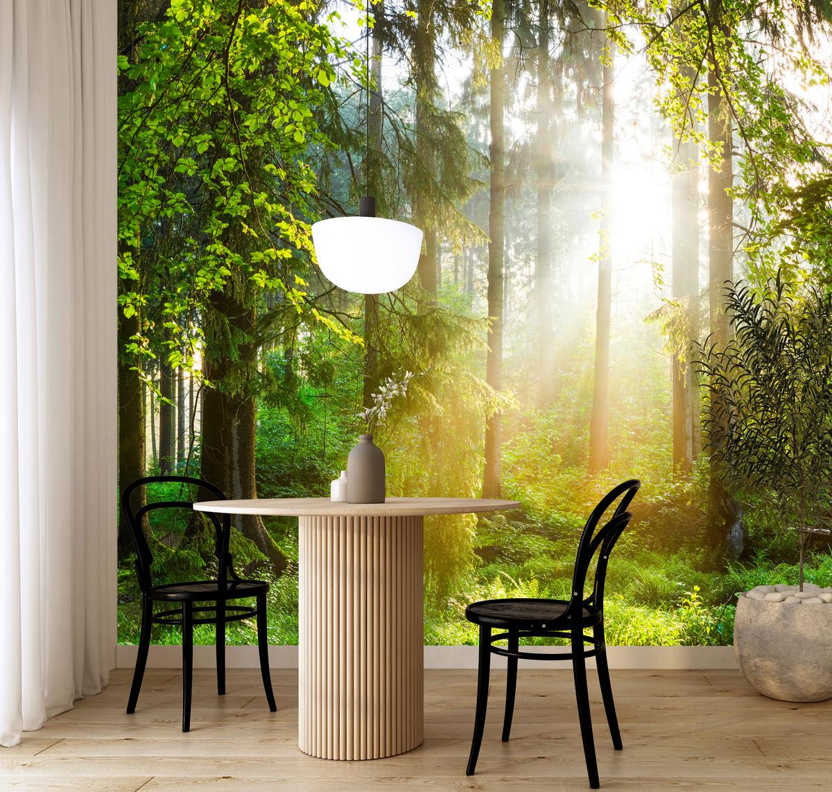 FOTOTAPETE für Wohnzimmer Sonniger Wald Bäume Pflanzen Natur Gras 400x280 - Multicolor, Papier (400/280cm) - Muralo