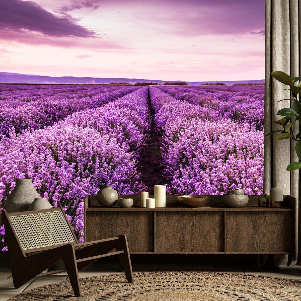 FOTOTAPETE für Schlafzimmer Lila Lavendel Wiese Harmonisch Romantisch 350x256 - Violett/Lila, Papier (350/256cm) - Muralo