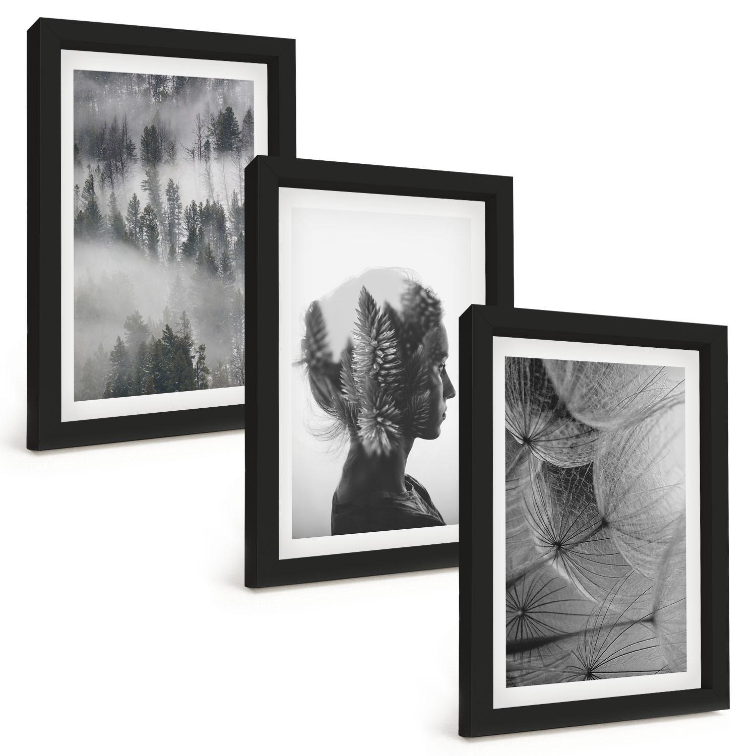 BILDER SET 3er Set - 20x30 cm Schwarzer Rahmen - Waldnebelporträt Baum Löwenzahn - Schwarz, Kunststoff (20/30cm) - TULUP
