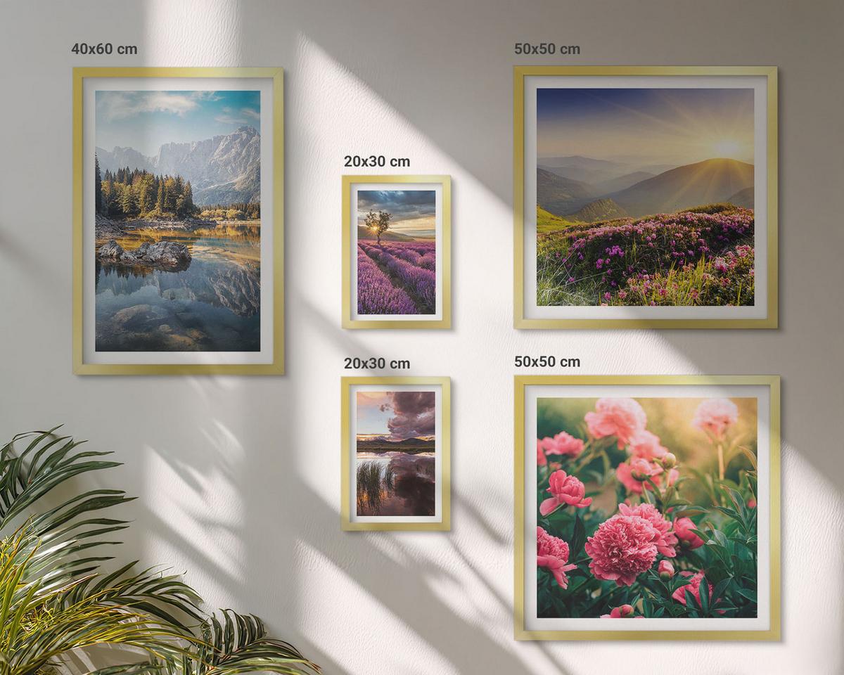 BILDER SET 5er Set - 50x50 cm & 20x30 cm & 40x60 cm Goldrahmen - Blumengarten, Bergwiese, Wasser - Goldfarben, Kunststoff (40/60cm) - TULUP
