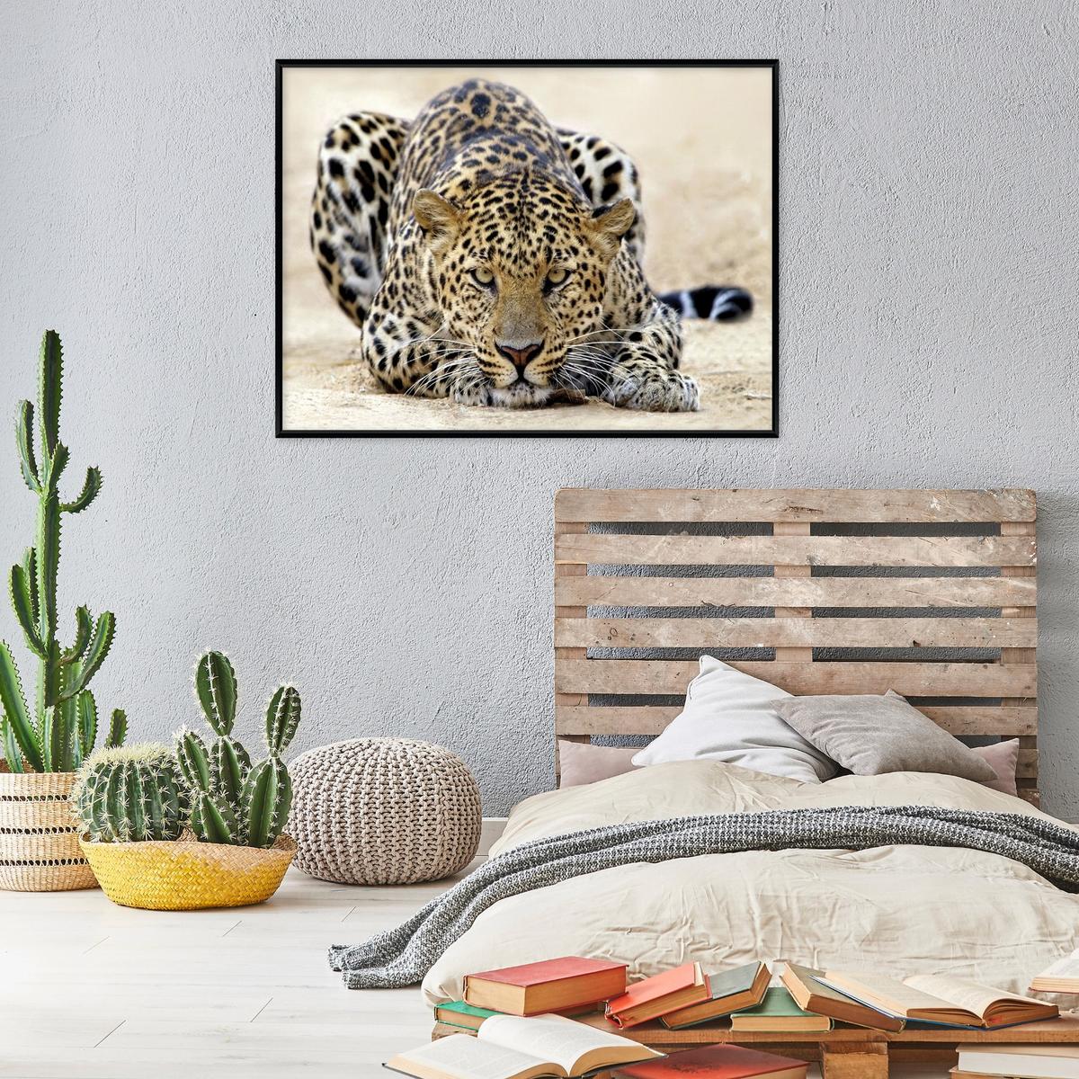 BILDER mit Rahmen Lampard Tiere Beige 100x70 cm - Multicolor, Holzwerkstoff (100/70cm) - Wallarena