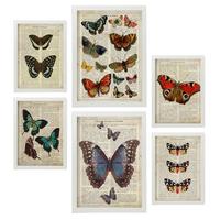 POSTER Set Mit 6 Schmetterlinge Vintage Papier Stil Plakate Mit Enzyklopädie Hintergründen Bunte Schmetterlinge Innenarchitektur A3 & A4 Weißer Rahmen - Weiß, Papier (29/3cm) - Nacnic