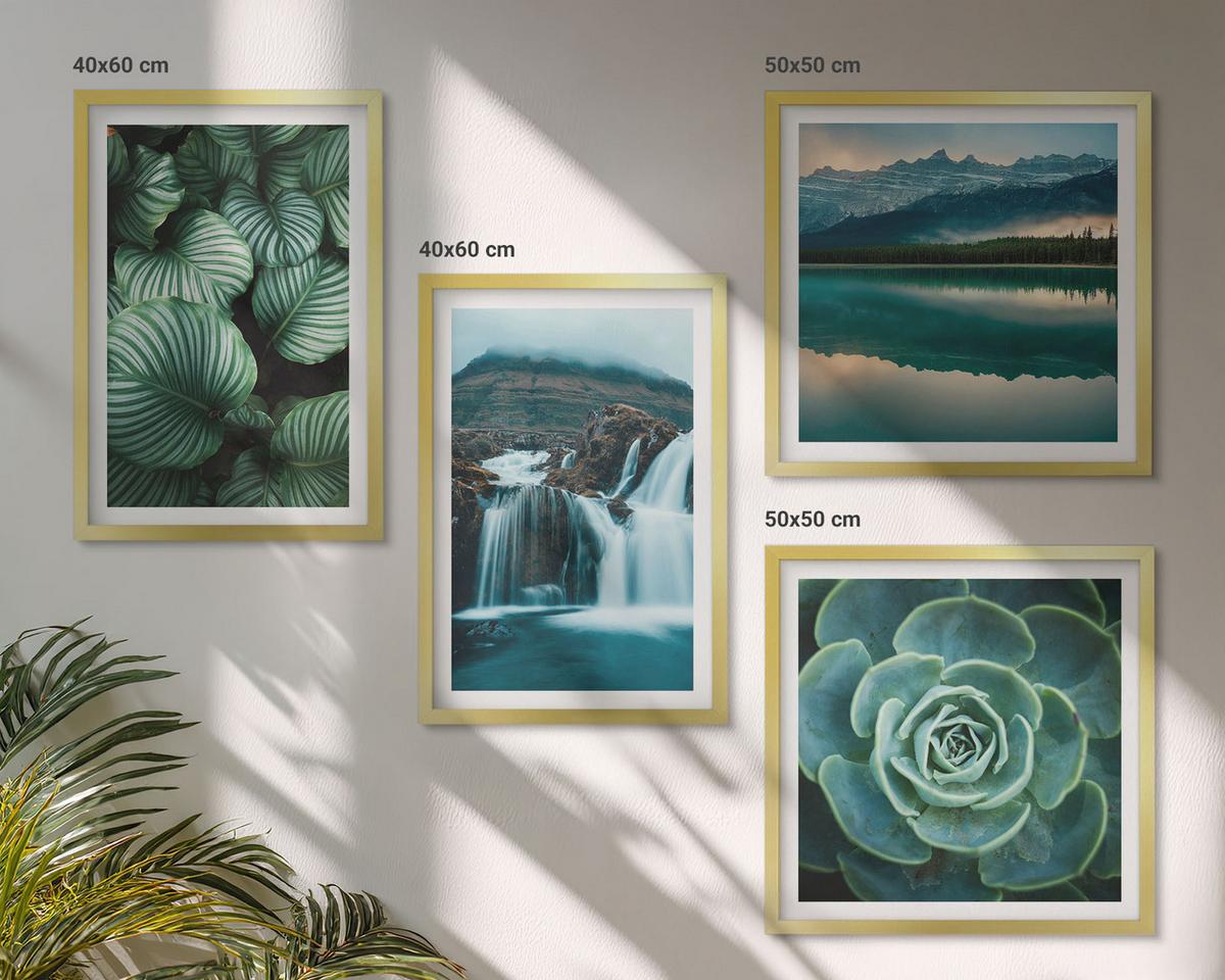 BILDER SET 4er Set - 50x50 cm & 40x60 cm Goldrahmen - Nahaufnahmen von Blättern sukkulenter Pflanzen - Goldfarben, Kunststoff (50/50cm) - TULUP