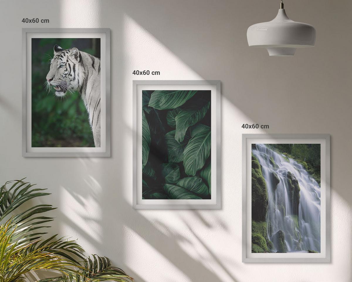 BILDER SET 3er Set - 40x60 cm Silberner Rahmen - Wasserfall aus weißen Tigerblättern - Silberfarben, Kunststoff (40/60cm) - TULUP