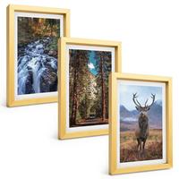 BILDER SET 3er Set - 20x30 cm Goldrahmen - Wasserfall Wald Berge Hirsch Natur - Goldfarben, Kunststoff (20/30cm) - TULUP