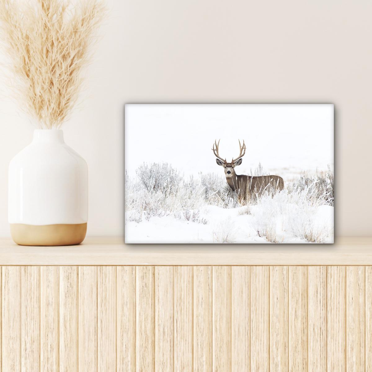LEINWANDBILD Hirsche - Winter - Schnee - Tiere - Jahreszeiten - Weiß Deko Schlafzimmer 30x20 cm - Hellbraun, Textil (30/20cm) - MuchoWow