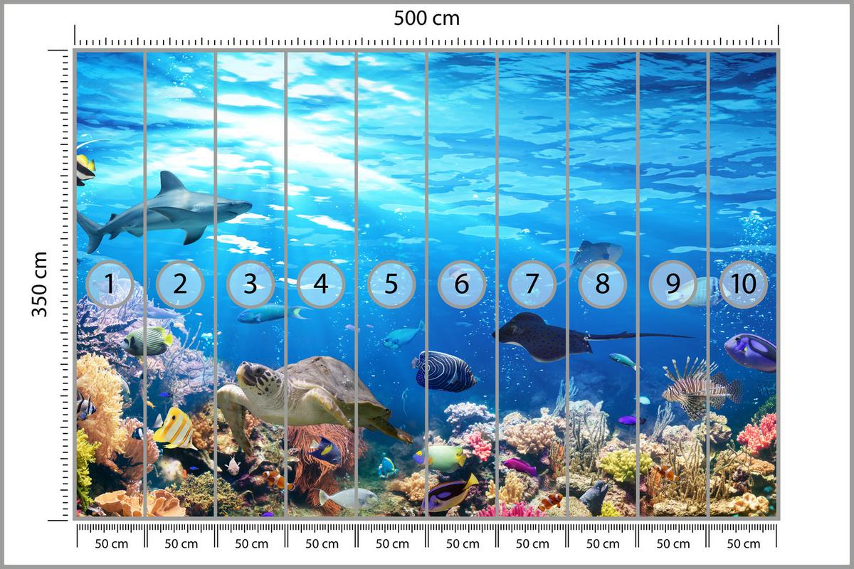 FOTOTAPETE für Badezimmer Korallenriff Schildkröte Hai Fisch 500x350 - Blau/Gelb, Papier (500/350cm) - Muralo