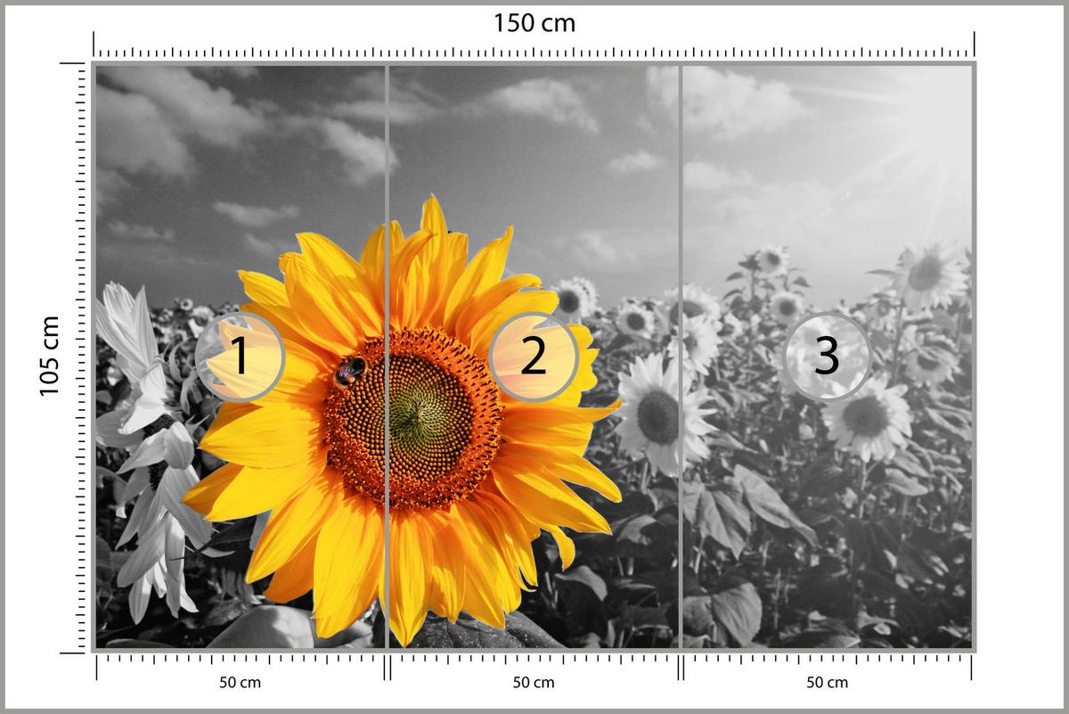 FOTOTAPETE für Küche Gelber Sonnenblume Schwarz-Weiß Hintergrund 150x105 - Gelb/Orange, Papier (150/105cm) - Muralo