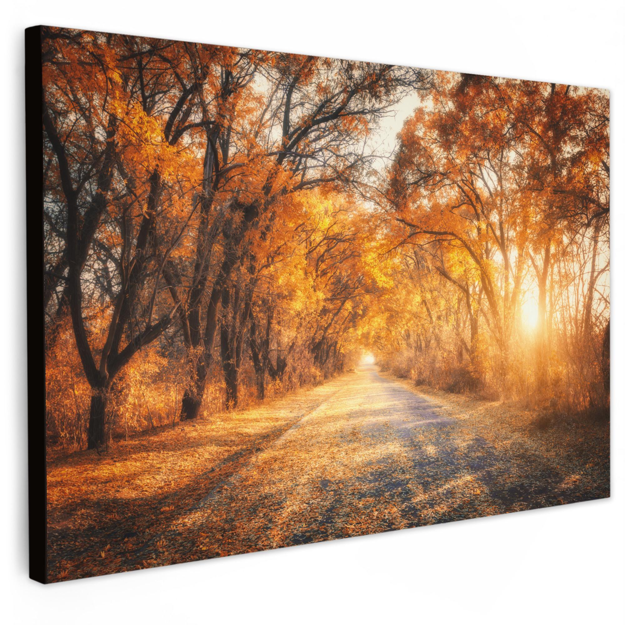 LEINWANDBILD Wald - Herbst - Bäume - Waldweg - Natur Gemälde 60x40 cm - Bernsteinfarben, Textil (60/40cm) - MuchoWow