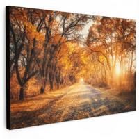LEINWANDBILD Wald - Herbst - Bäume - Waldweg - Natur Gemälde 60x40 cm - Bernsteinfarben, Textil (60/40cm) - MuchoWow