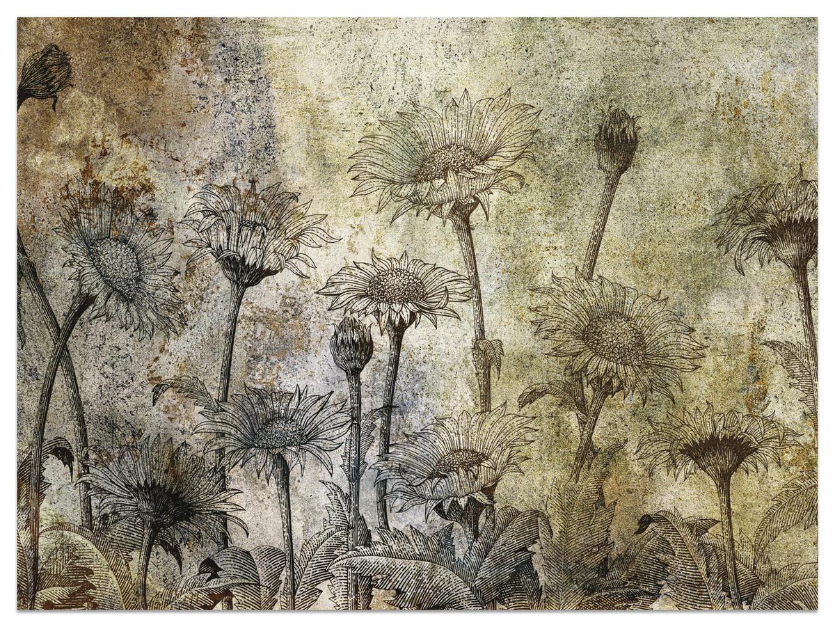 FOTOTAPETE Abstrakte Sonnenblumen Beton Retro 200x140 - Beige/Braun, Papier (200/140cm) - Muralo