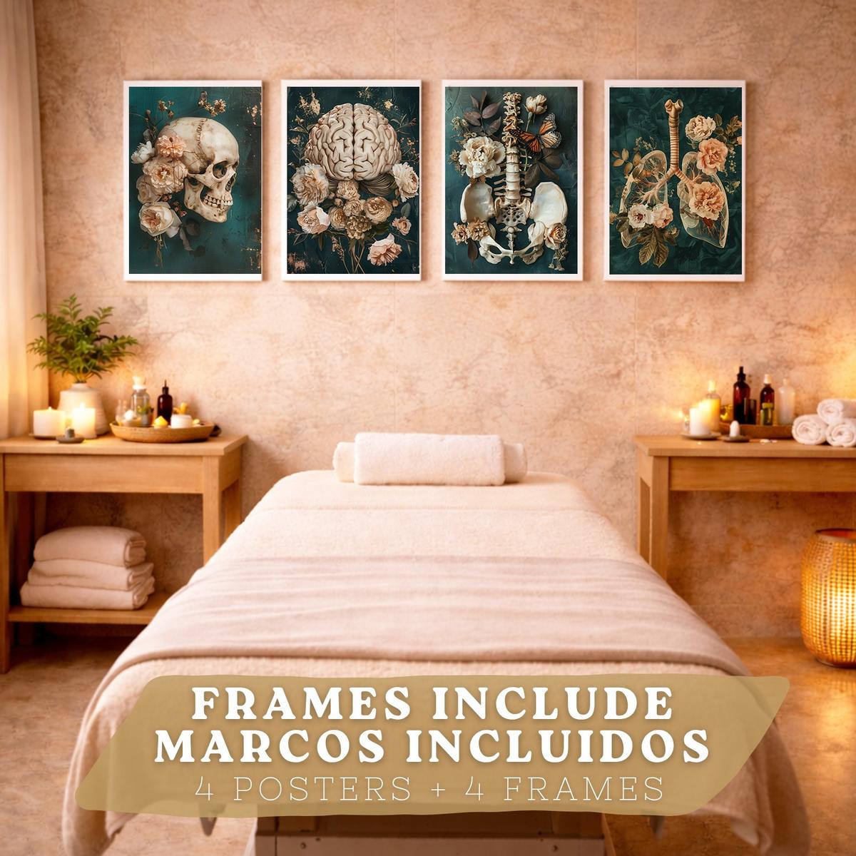 POSTER Set aus 4 Anatomie Mensch Drucke und mit Schädel Gehirn Lungen Luftröhre Bronchien Becken Wirbelsäule Florales Größe Weißer Rahmen A3 - Weiß, Papier (29.7/42/3cm) - Nacnic