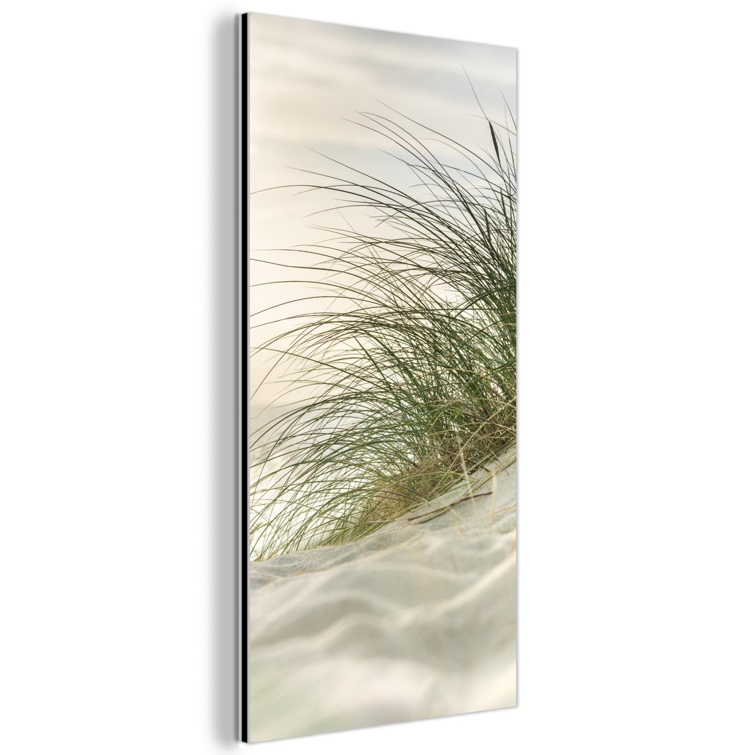 METALLBILD Dünen mit Strandhafer in der Sonne des Nationalparks Schleswig-Holsteinisches Wattenmeer 40x80 cm - Creme, Metall (40/80cm) - MuchoWow