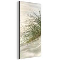 METALLBILD Dünen mit Strandhafer in der Sonne des Nationalparks Schleswig-Holsteinisches Wattenmeer 40x80 cm - Creme, Metall (40/80cm) - MuchoWow