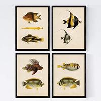 POSTER Set mit 4 Java von 9 verschiedenen Fischen A3 Schwarzer Rahmen - Schwarz, Papier (29.7/3cm) - Nacnic