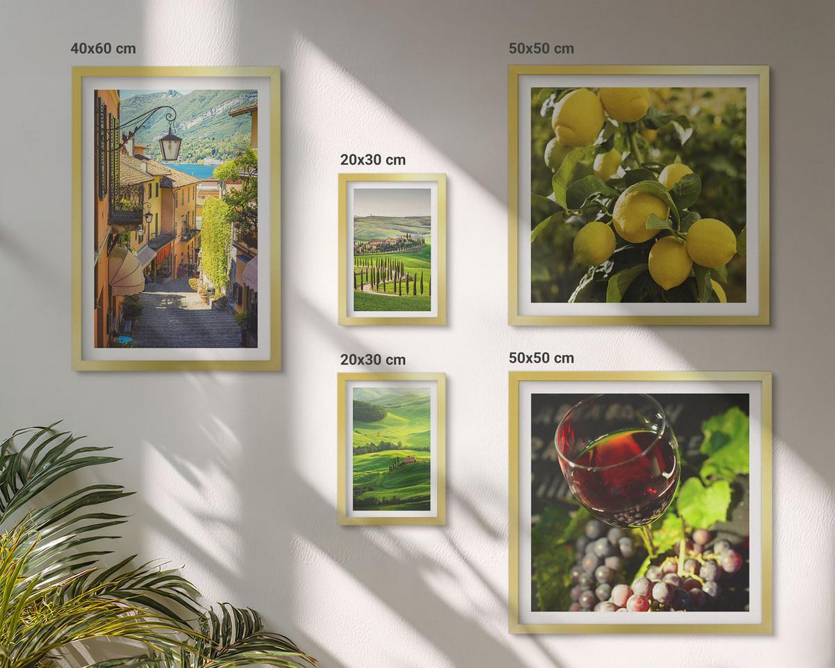 BILDER SET 5er Set - 50x50 cm & 20x30 cm & 40x60 cm Goldrahmen - Italienische Landschaften, Zitrushügel - Goldfarben, Kunststoff (40/60cm) - TULUP