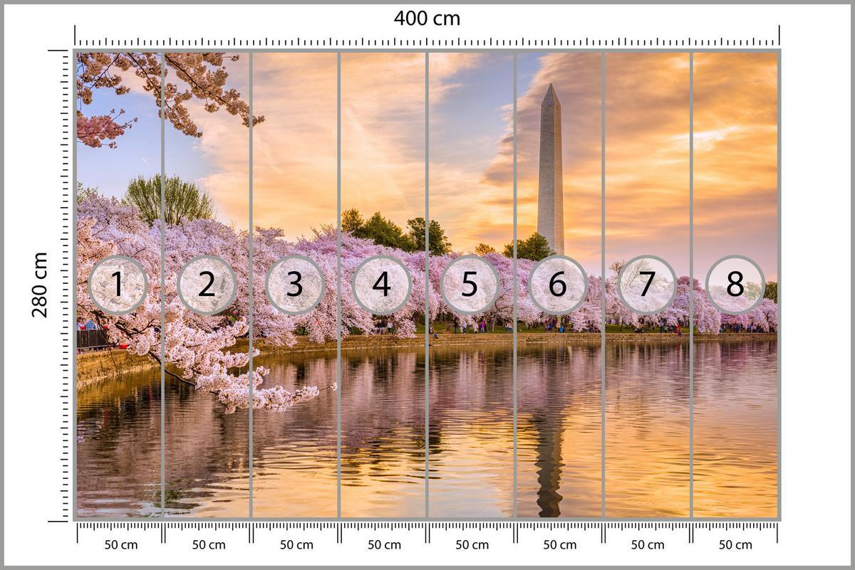 FOTOTAPETE Blühende Kirschbäume Fluss Natur Frühling Sonnenuntergang 400x280 - Blau/Gelb, Papier (400/280cm) - Muralo