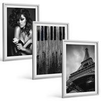 BILDER SET 3er Set - 40x60 cm Silberner Rahmen - Porträt einer Frau mit einer Eiffel-Rose - Silberfarben, Kunststoff (40/60cm) - TULUP
