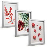 BILDER SET 3er Set - 20x30 cm Silberner Rahmen - Minimalismus der roten Früchte von Pflanzen - Silberfarben, Kunststoff (20/30cm) - TULUP