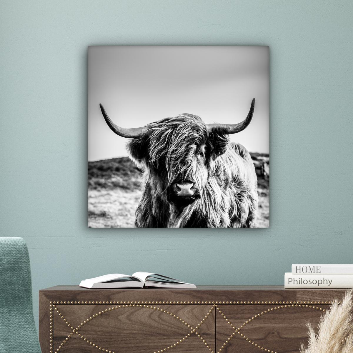 LEINWANDBILD Kuh - Schottischer Hochländer - Schwarz - Weiß - Tier - Natur - Wildtiere Wandbild Wohnzimmer 50x50 cm - Schwarz, Textil (50/50cm) - MuchoWow
