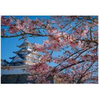 FOTOTAPETE Kirschblüte Japan Blau 150x105 cm - Multicolor, Papier (150/105cm) - Wallarena