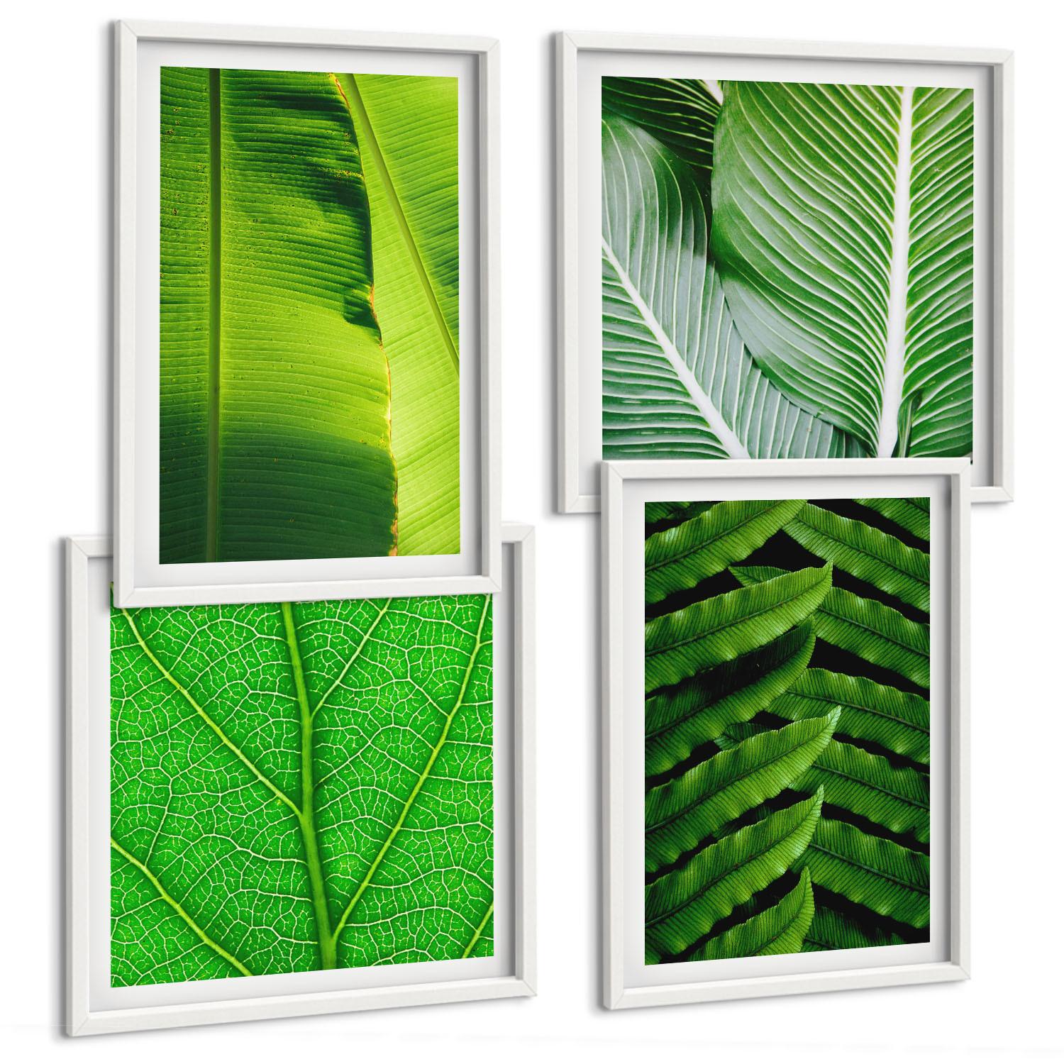 BILDER SET 4er Set - 50x50 cm & 40x60 cm Weißer Rahmen - Nahaufnahme von tropischen Blättern - Weiß, Kunststoff (50/50cm) - TULUP