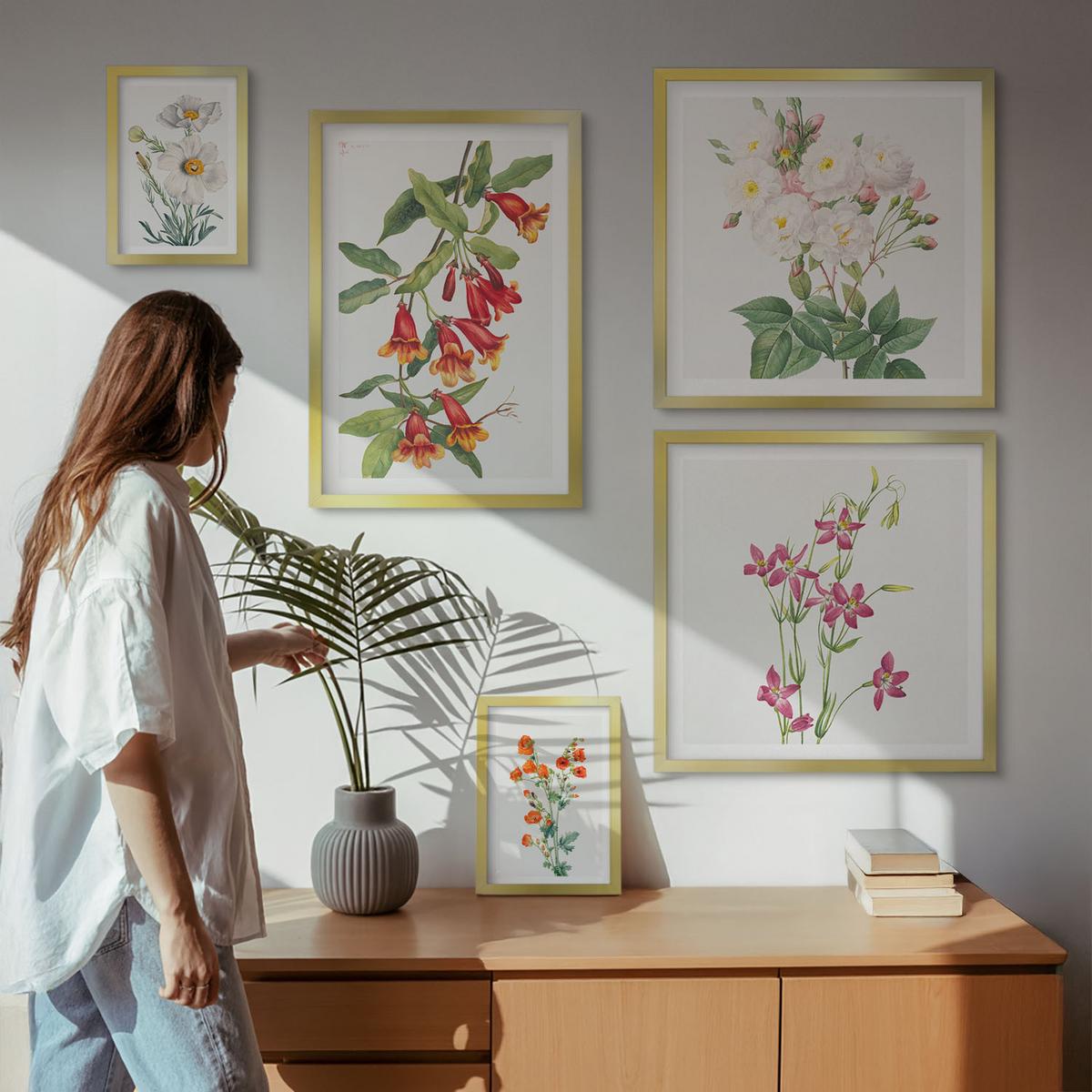 BILDER SET 5er Set - 50x50 cm & 20x30 cm & 40x60 cm Goldrahmen - Retro-Blumenmalerei - Goldfarben, Kunststoff (40/60cm) - TULUP