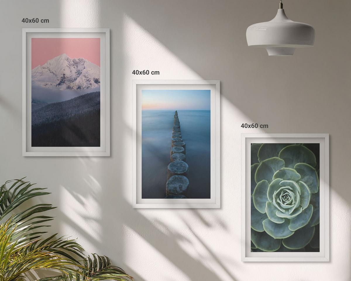 BILDER SET 3er Set - 40x60 cm Weißer Rahmen - Berge, rosa Himmel, Wasser, Sukkulente - Weiß, Kunststoff (40/60cm) - TULUP