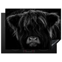 HERDABDECKPLATTE Schottischer Highlander - Kuh - Schwarz - Weiß - Tiere Induktionsmatte 71x52 cm - Schwarz, Kunststoff (71/52/0.2cm) - MuchoWow