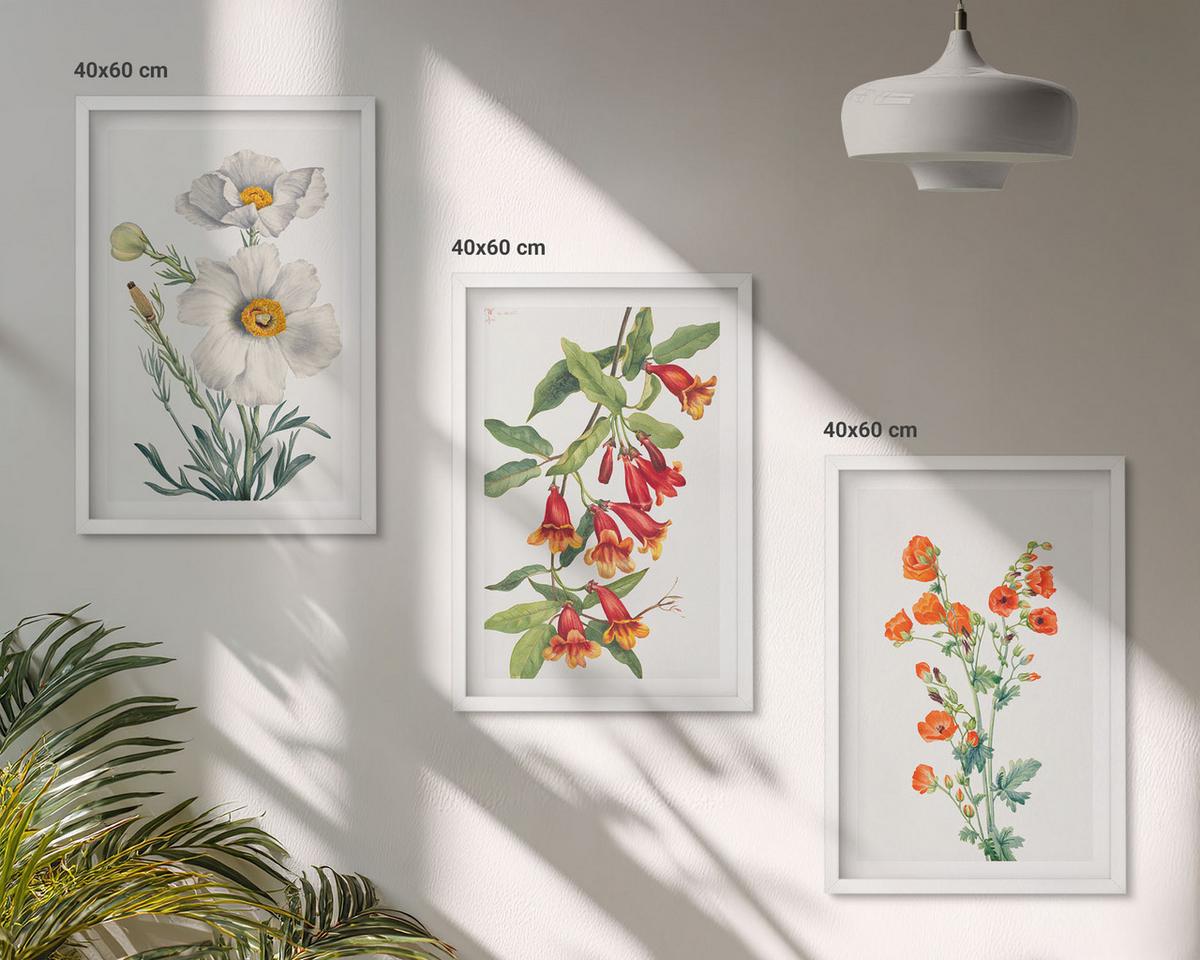 BILDER SET 3er Set - 40x60 cm Weißer Rahmen - Retro-Blumenarrangements - Weiß, Kunststoff (40/60cm) - TULUP