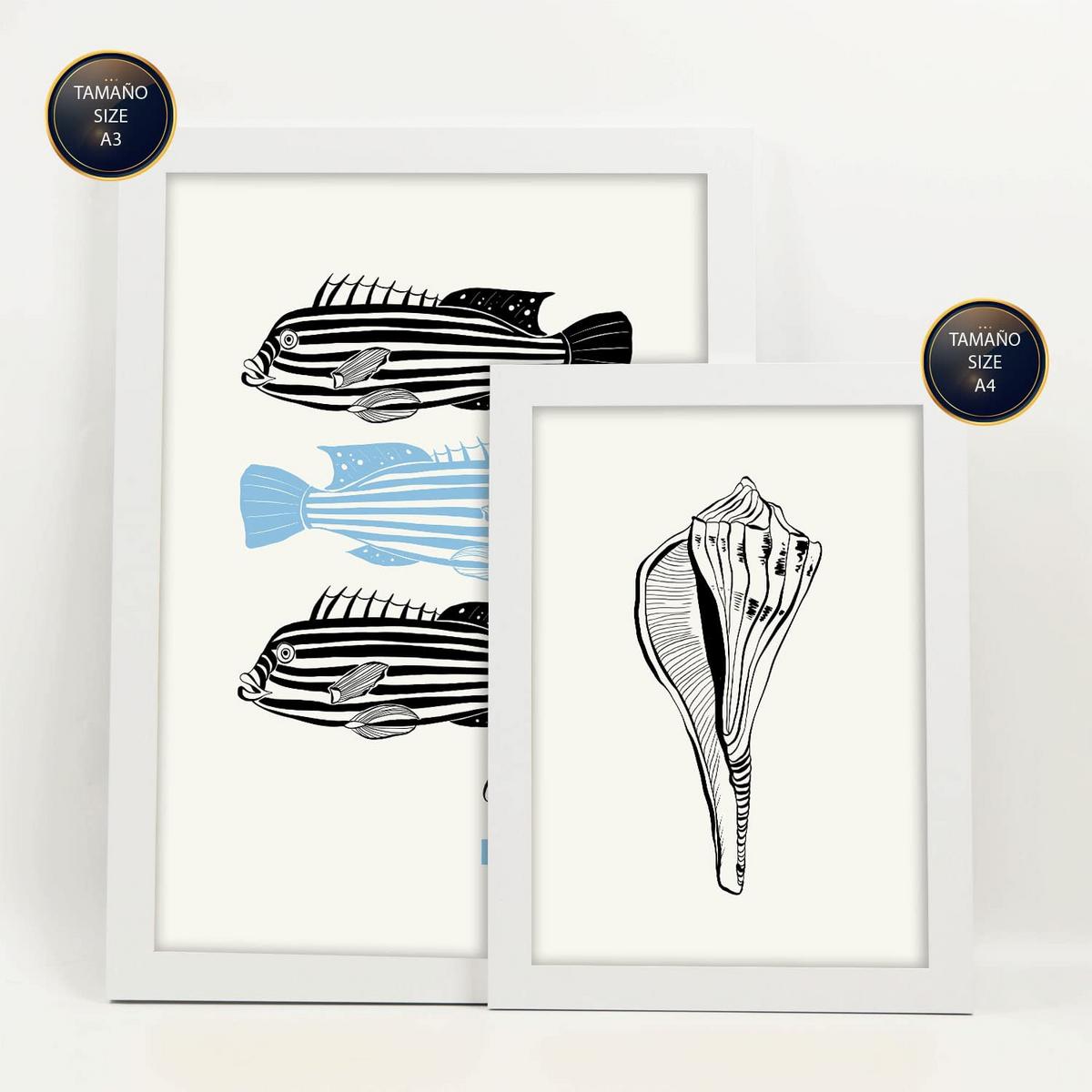 POSTER Set Mit 6 In Schwarzer Tinte Meerestiere Kunstdrucke Von Meer Und Ozean Für Innenarchitektur A3 & A4 Weißer Rahmen - Weiß, Papier (29/3cm) - Nacnic