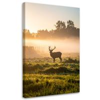 LEINWANDBILD Hirsch in der Brunft im Nebel 60x90cm - Beige, Textil (60/90cm) - Feeby