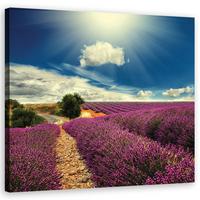 WANDBILD landschaften lila - Lila, Textil (30/30cm) - Feeby