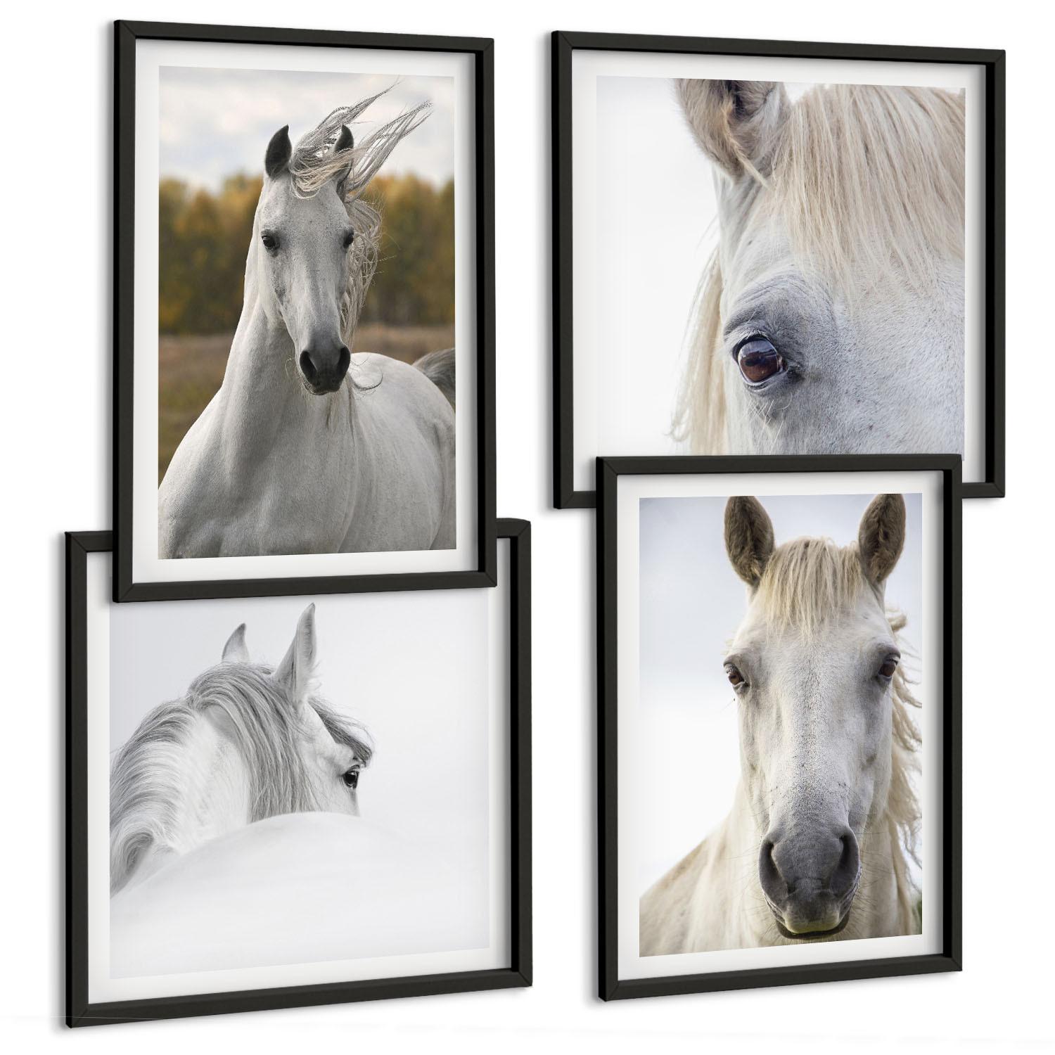 BILDER SET 4er Set - 50x50 cm & 40x60 cm Schwarzer Rahmen - Weiße Pferde - Schwarz, Kunststoff (50/50cm) - TULUP