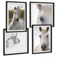 BILDER SET 4er Set - 50x50 cm & 40x60 cm Schwarzer Rahmen - Weiße Pferde - Schwarz, Kunststoff (50/50cm) - TULUP