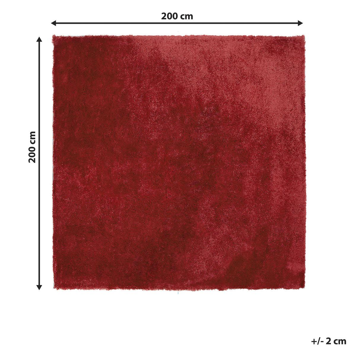 SHAGGY-TEPPICH Evren 200/200 cm - Rot, Kunststoff (200/200cm) - Beliani