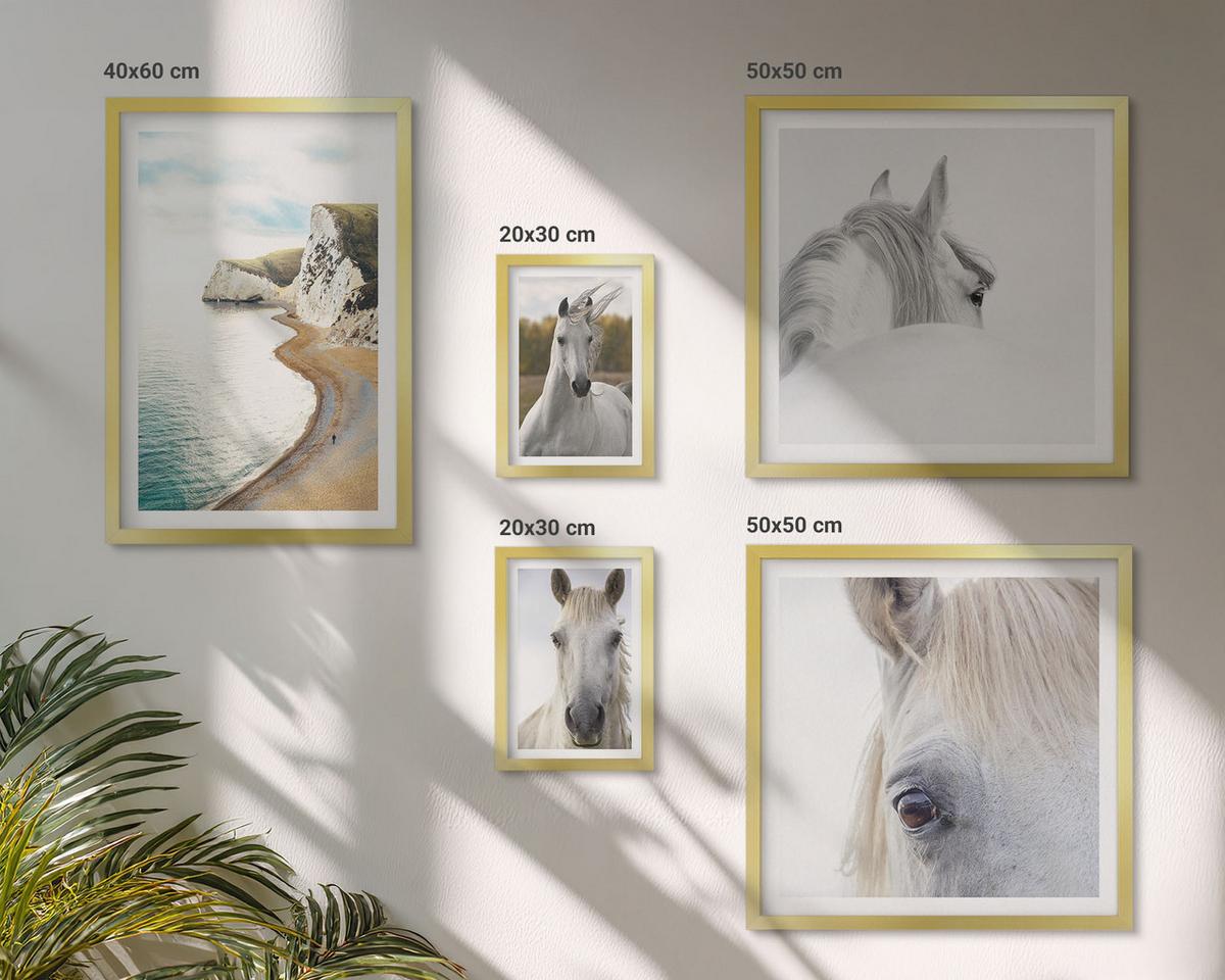 BILDER SET 5er Set - 50x50 cm & 20x30 cm & 40x60 cm Goldrahmen - Kontrastierende abstrakte Porträts - Goldfarben, Kunststoff (40/60cm) - TULUP