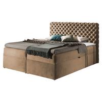 BOXBETT Chesterfield - H3 - Hellbraun, Holz (180/200cm) - MIRJAN24