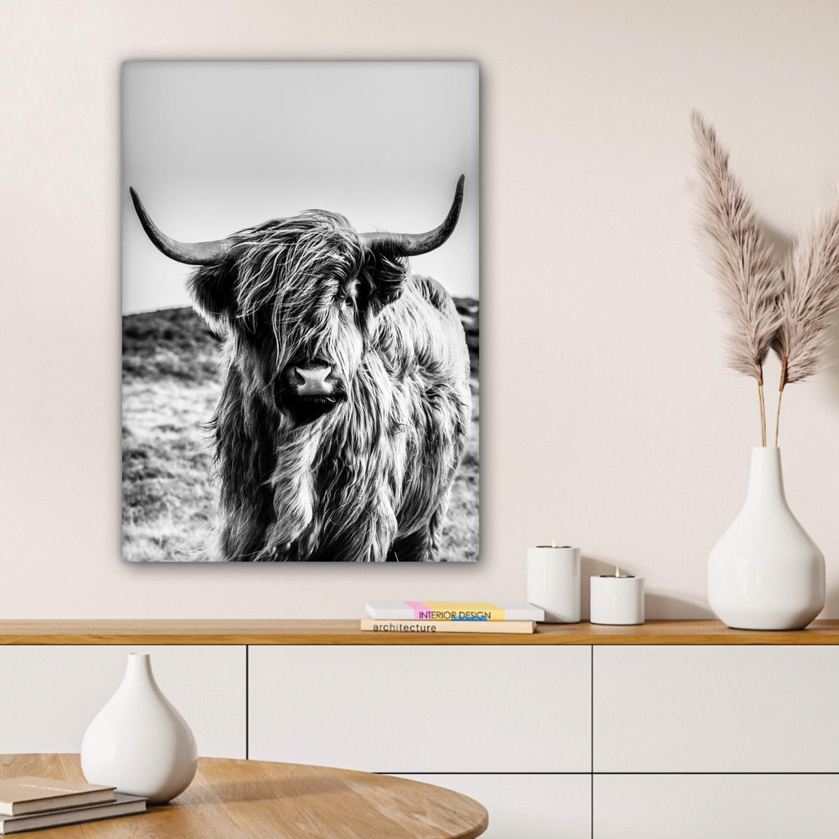 LEINWANDBILD Kuh - Schottischer Hochländer - Schwarz - Weiß - Tier - Natur - Wildtiere Wandbild Wohnzimmer 60x80 cm - Schwarz, Textil (60/80cm) - MuchoWow
