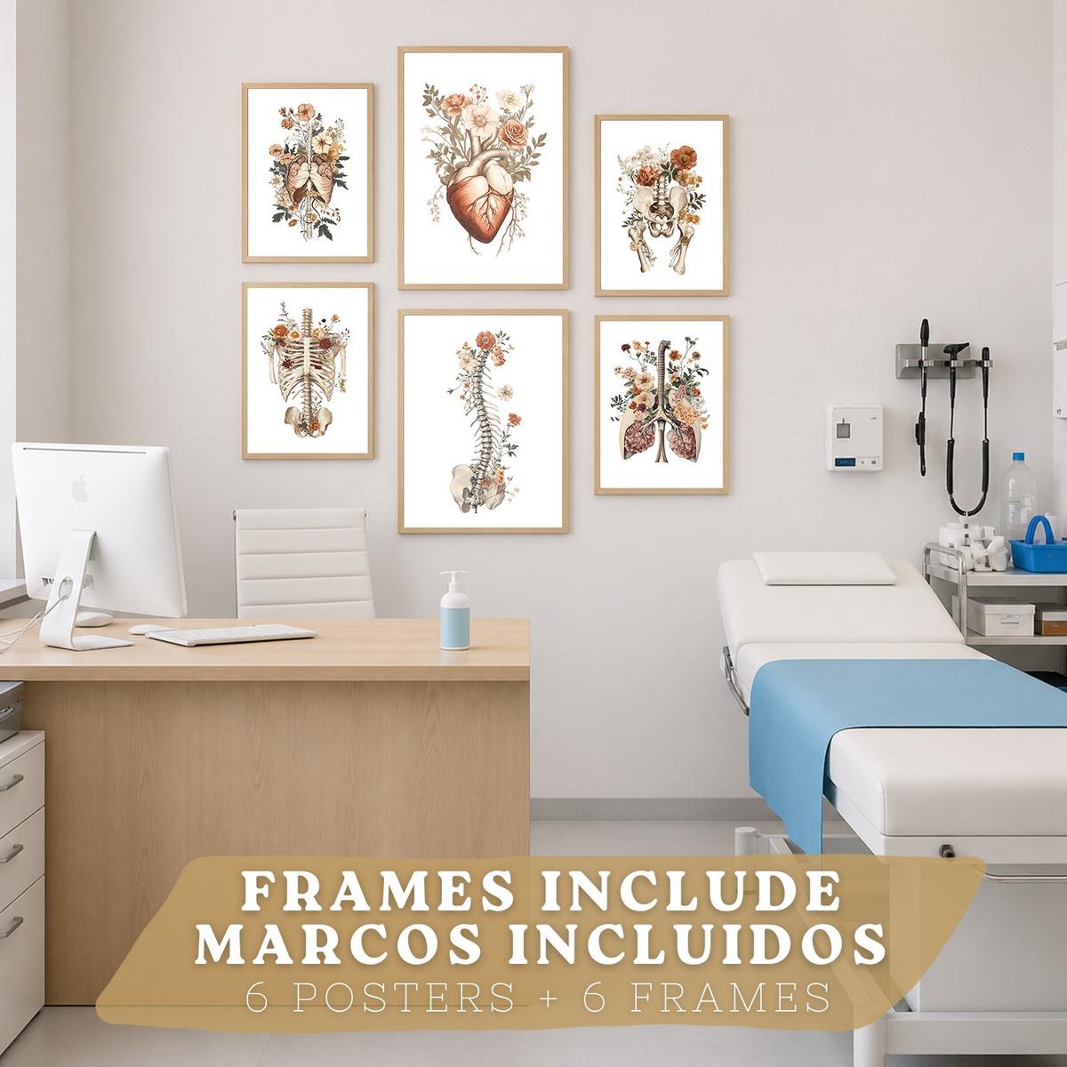 POSTER Set aus 6 Anatomie Mensch Florale Aquarell Drucke und mit Gehirn Lungen Skelett Nieren und Organen Botanische Größe Leichter Holzrahmen A3 & A4 - Beige, Papier (21/29.7/3cm) - Nacnic