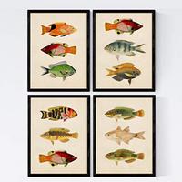 POSTER Set mit 4 Andaman von 12 verschiedenem Fisch A4 Rahmenlos - Klar, Papier (29.7/3cm) - Nacnic