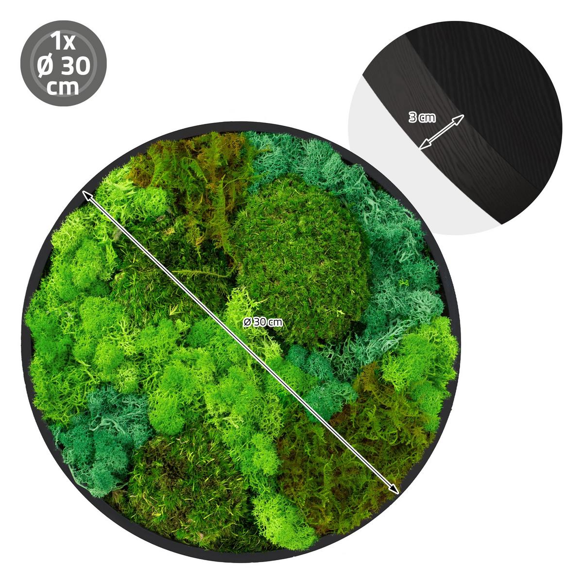 MOOSBILD Rund Ø 30 cm Mooswand Indoor mit echtem Kugelmoos-Islandmoos-Flachmoos-Mix und Holzrahmen Grün - Waldgrün, Naturmaterialien (30/30/3cm) - ECD-Germany