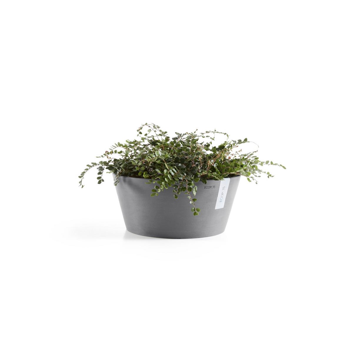 BLUMENTOPF Frankfurt 50/25,7 cm Grau - Grau, Kunststoff (41/17.8cm) - Ecopots