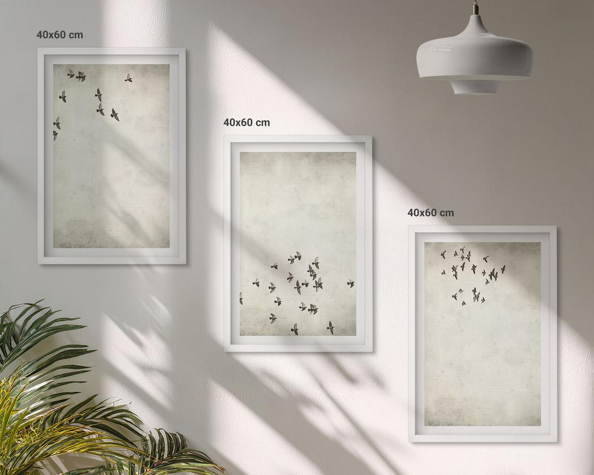 BILDER SET 3er Set - 40x60 cm Weißer Rahmen - Minimalistische Vogelmalerei - Weiß, Kunststoff (40/60cm) - TULUP